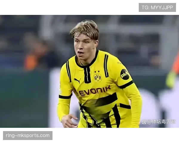 德甲夏窗后卫市场火爆,多队争抢防线新星引关注 德甲夏窗后卫市场火爆,多队争抢防线新星引关注