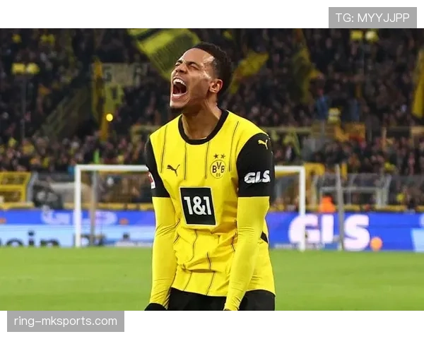 多特蒙德新进攻套路引领德甲赛季战术革新，状态稳健备受关注